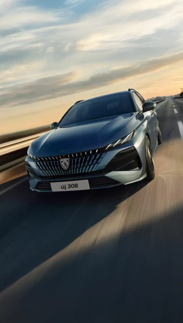 Lendületben az oroszlán