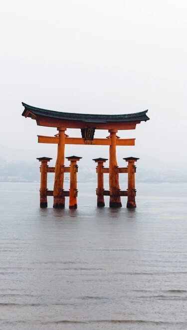 Megújult a Duna Autó Suzuki szalonja – érdemes megnézni!