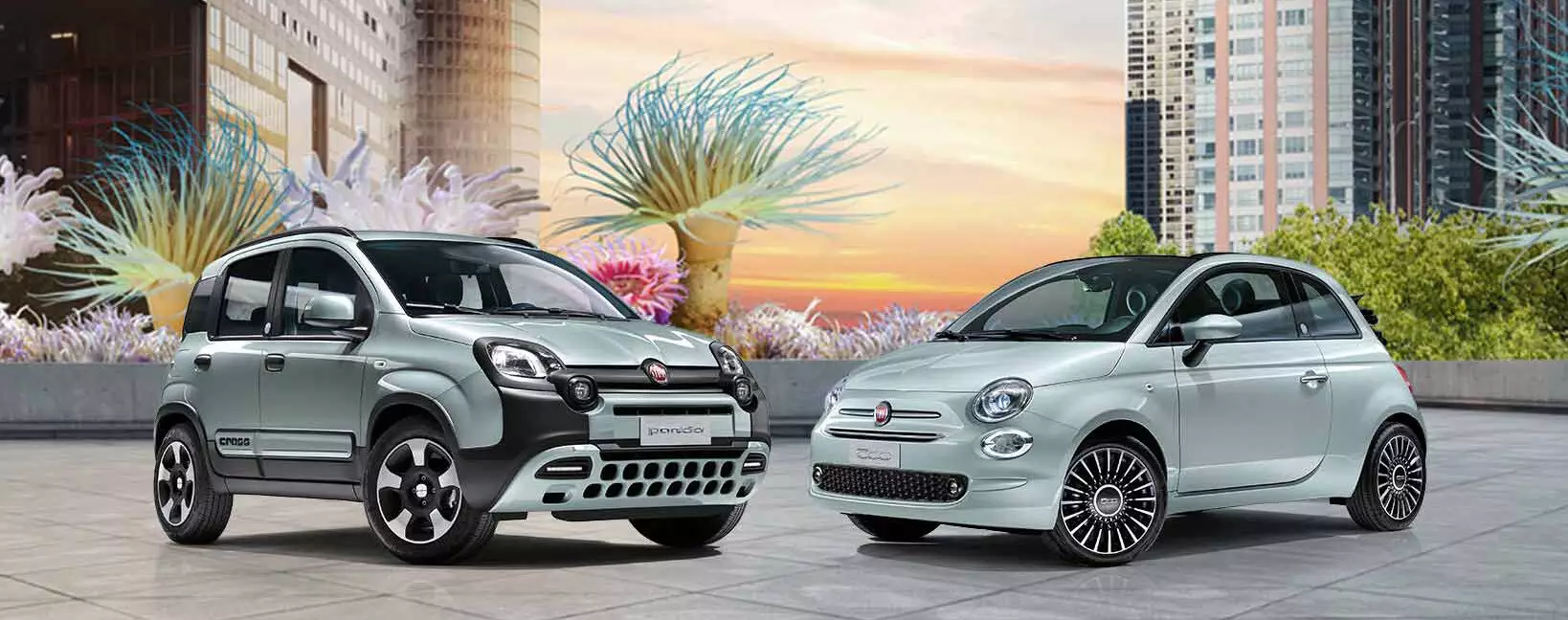 Új 500 & Panda Hybrid Launch Edition